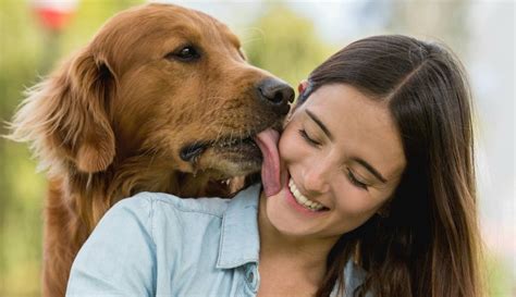 mujer tiene sexo con un caballo|Chica cogida por un perro